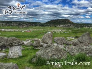 Mushroom Valley - San Ignacio