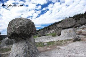 Valley of the Mushrooms